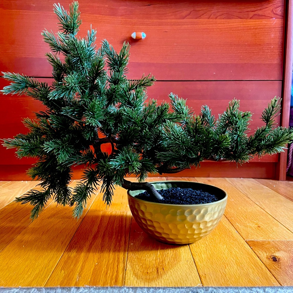 Faux bonsai tree in matte gold pot